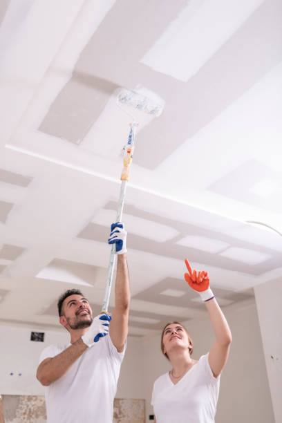 Best Real Estate Mold Inspection  in West Milton, OH