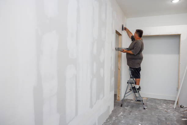 Best Mold Odor Removal Services  in West Milton, OH