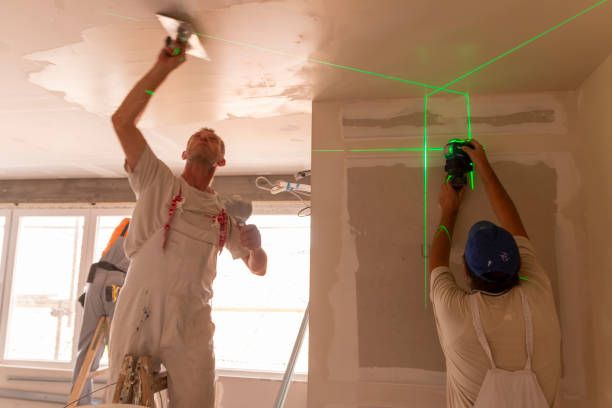 Best Mold Damage Restoration  in West Milton, OH