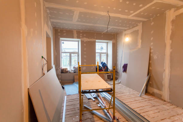 Best Attic Mold Removal  in West Milton, OH